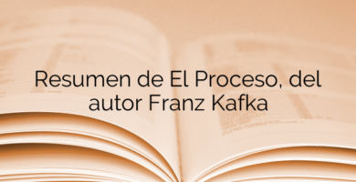 Resumen de El Proceso, del autor Franz Kafka